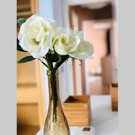 Apartmán Centrica Casa *